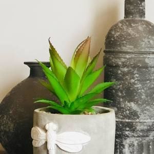 Meet your Posher, Chai